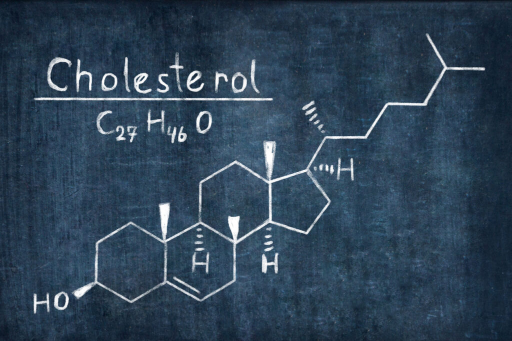 Cholesterol is a lipid synthetized in the liver from fats ingested by food. Its role is critical in the regulation of cellular membranes’ permeability, in vitamin D production, in the production of bile acids and in hormonal synthesis.